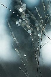 《健身拳击 北斗神拳》3月2日追加简繁中文字幕